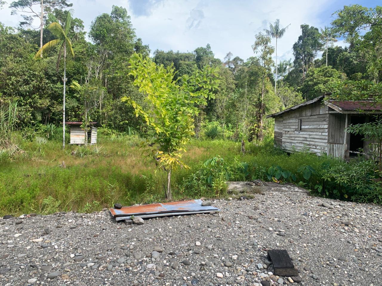 Respons Cepat Satgas Damai Cartenz 2026 Tindaklanjuti Informasi Senjata Api Rakitan di Dekai